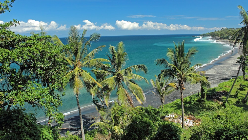 Show item 3 of 5. view of beach and palm trees