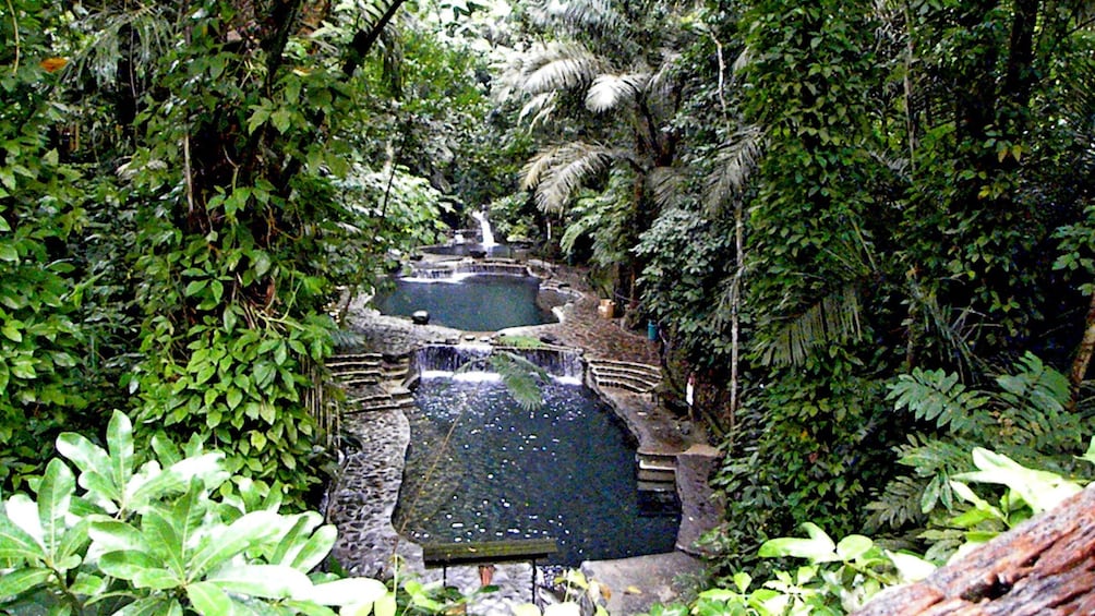 Show item 4 of 5. pools in forest in manila