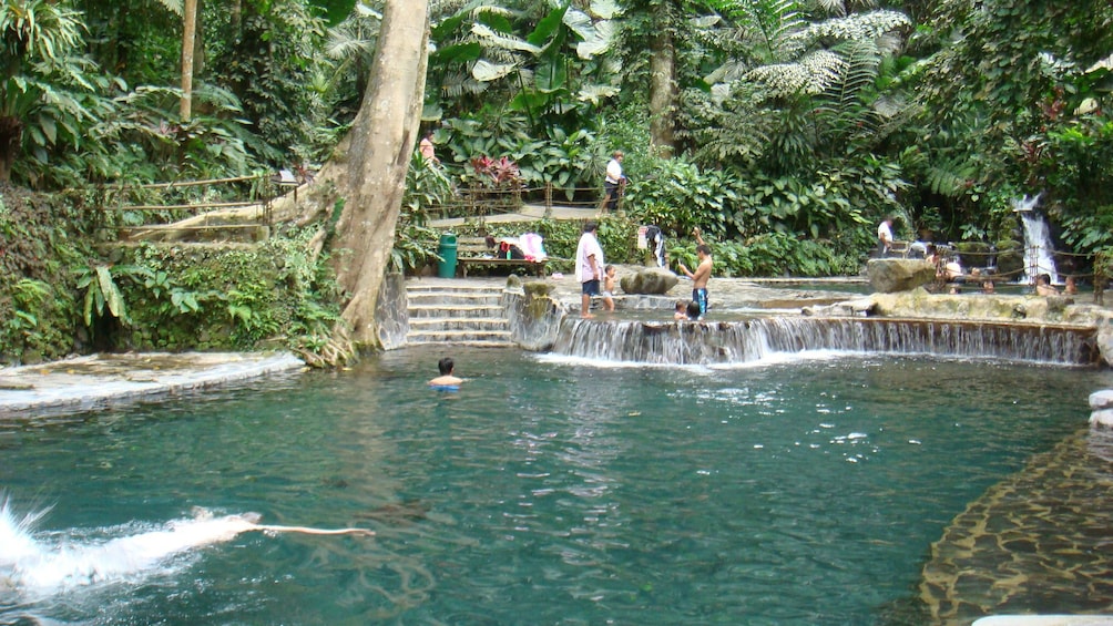 Show item 2 of 5. pools in forest in manila