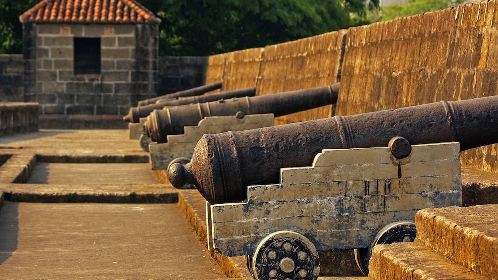 Show item 4 of 5. cannons lined up on wall