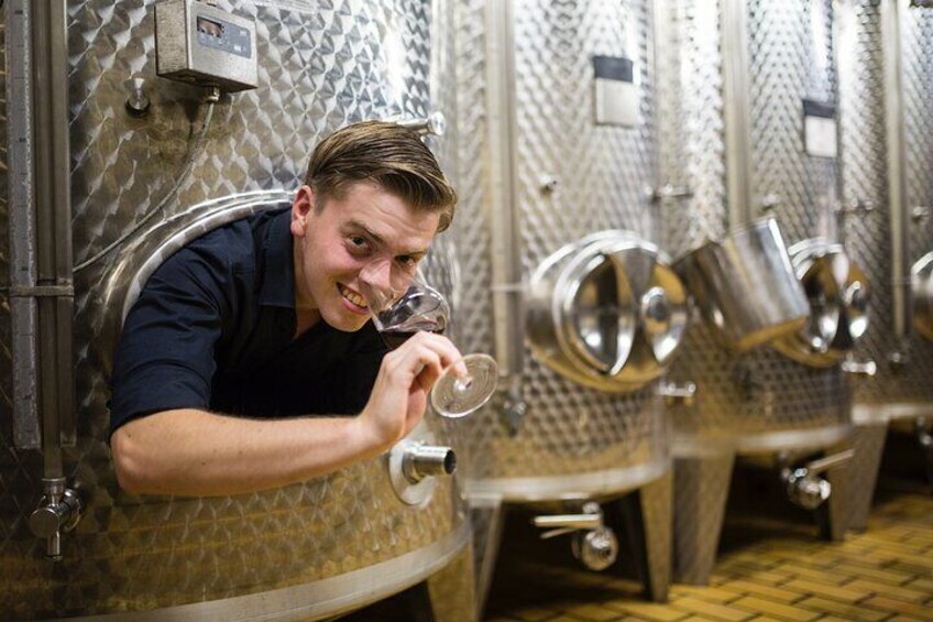 Vintner in the wine tank