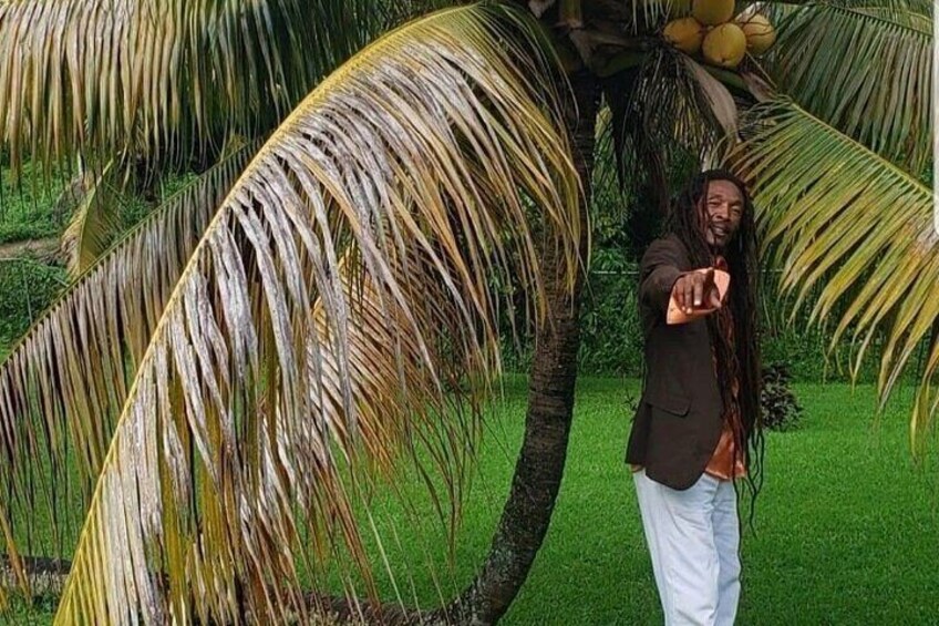 Private RastaSafari 3-Hour Tour in an ATV from Montego Bay