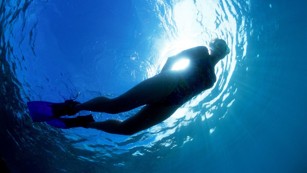 Show item 3 of 5. Looking up at snorkeler near surface of water in Manila