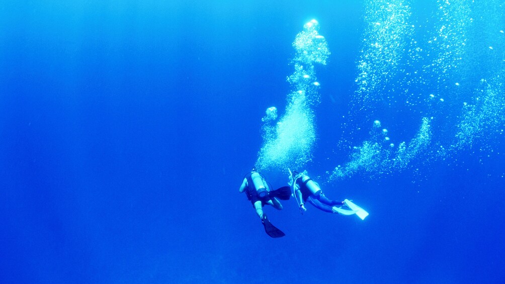 Show item 2 of 5. Pair of scuba divers swimming in Manila