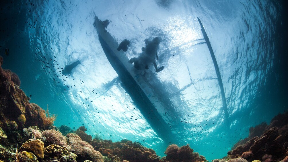 Show item 5 of 5. Divers jumping from boat into water in Manila.