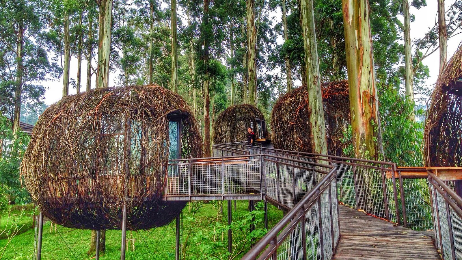 Private Full-Day Tour of North Bandung & Dusun Bambu