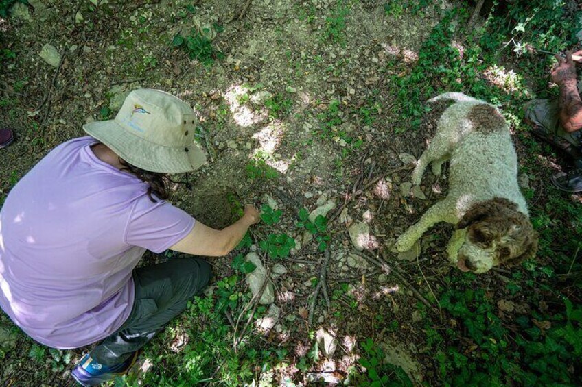 Truffle Hunting Experience in Assisi