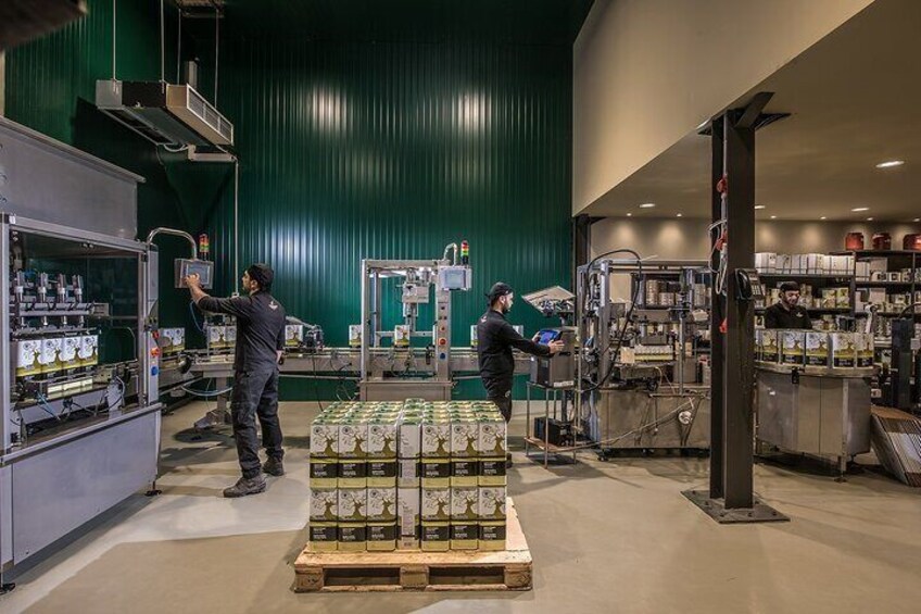 Cretan Olive Oil Tasting