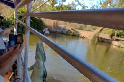 Litchfield Park Adventures & Jumping Crocodile Cruise