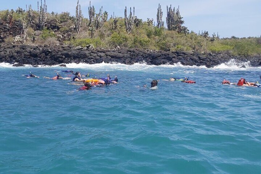 Santa Cruz Galapagos Bay Tour: Adventure, Snorkel and Hike