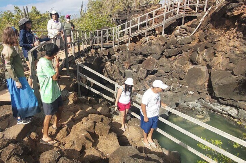 Santa Cruz Galapagos Bay Tour: Adventure, Snorkel and Hike