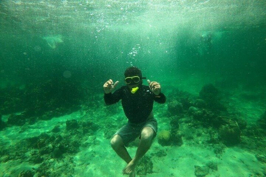 Snorkel with photo