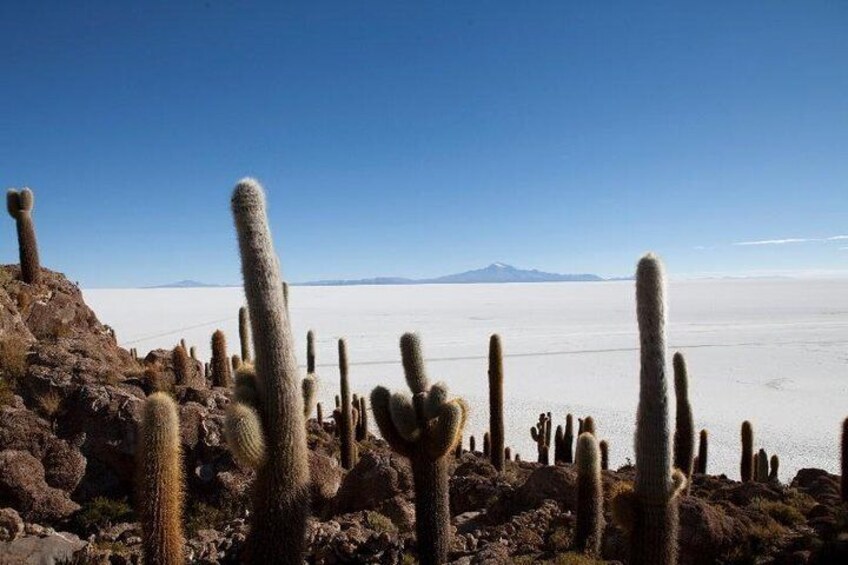 Inca Huasi (Fish Island)