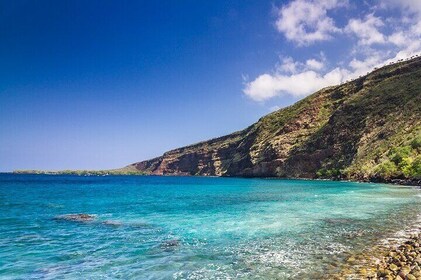 Crucero por la costa de Kona: snorkel en la bahía de Kealakekua y encuentro...