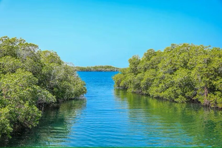 Paradise Island VIP - Yacht Cruise to Cayo Arena with Lunch