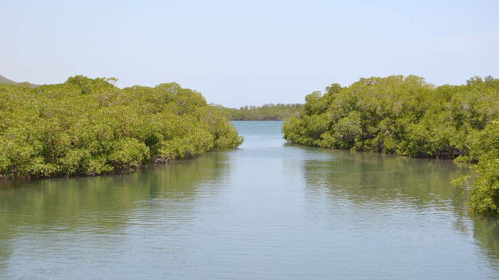 river view in Puerto Plata, Dominican Republic