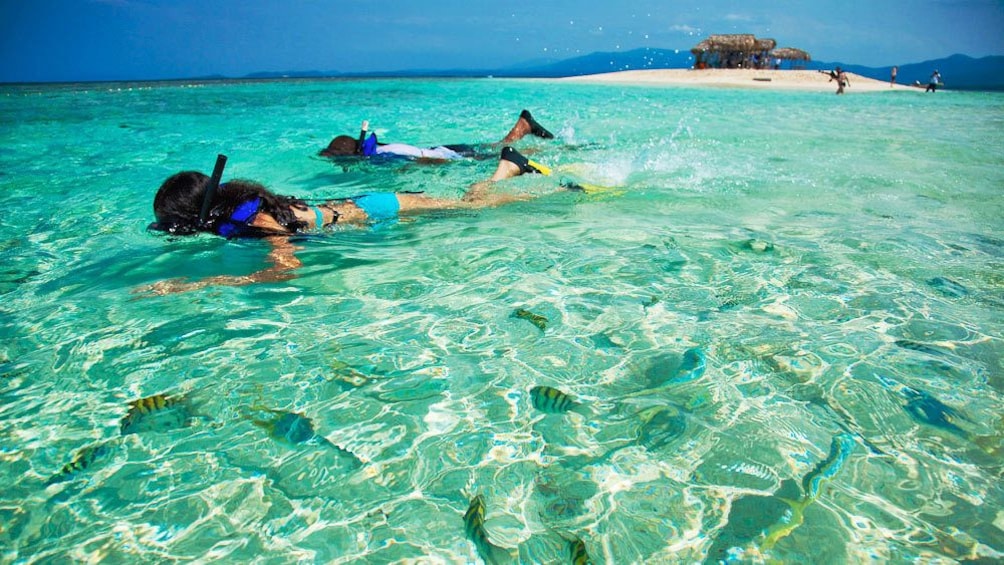 Snorkelers in Puerto Plata, Dominican Republic