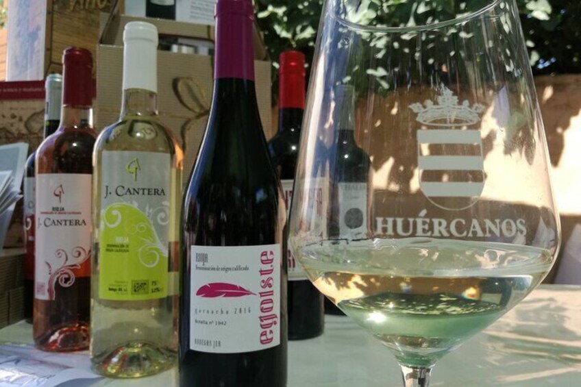 Private Experience of Tertulia Bodeguera in La Rioja