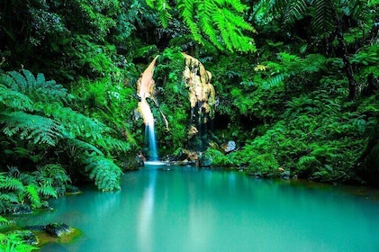Excursion to Termas de São Miguel