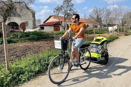 Electric bike rental in Montpellier