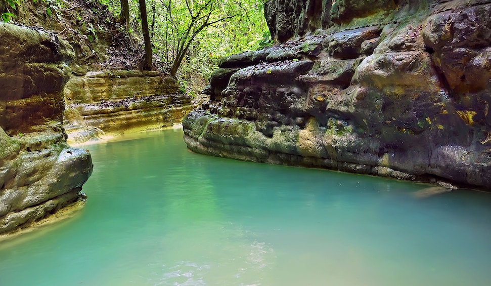 Damajagua Waterfalls Adventure with Lunch