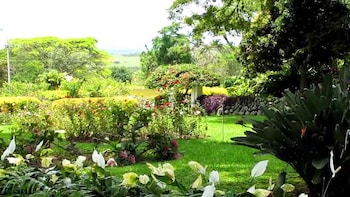 Private Guided Sugar Plantations Tour