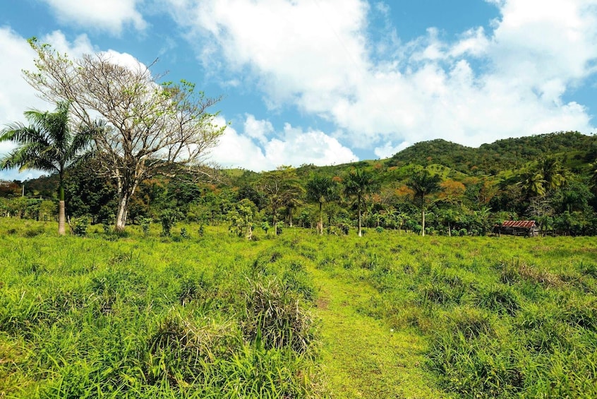 Anamaya Mountains Step Walking Tour