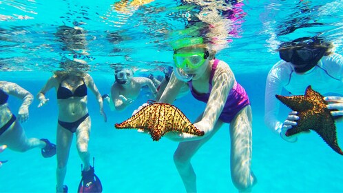 Catalina Island Snorkeling Tour - La Romana | Expedia