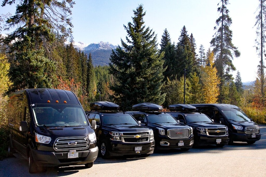 Private Executive Minibus: Downtown Vancouver - Whistler