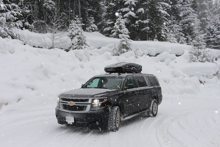 Private Luxury SUV: Whistler - Downtown Vancouver
