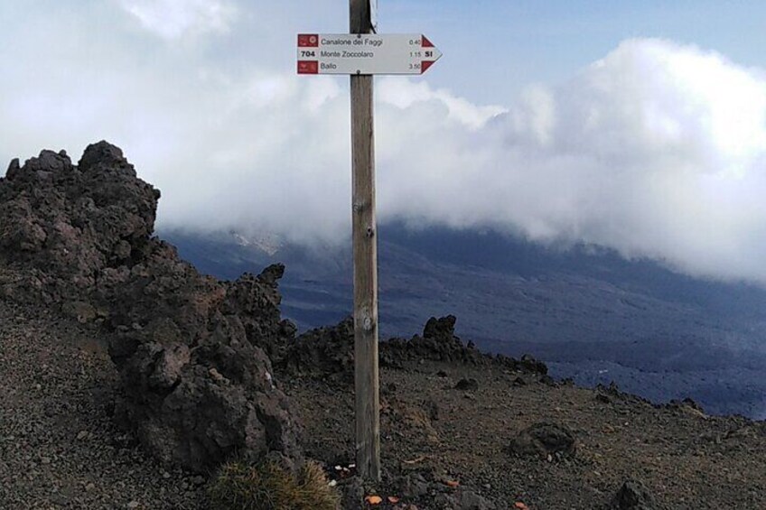 One Day Private Tour to Mount Etna from Catania