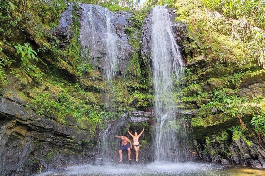 Private State Rainforest Waterfalls and Beach hiking exp