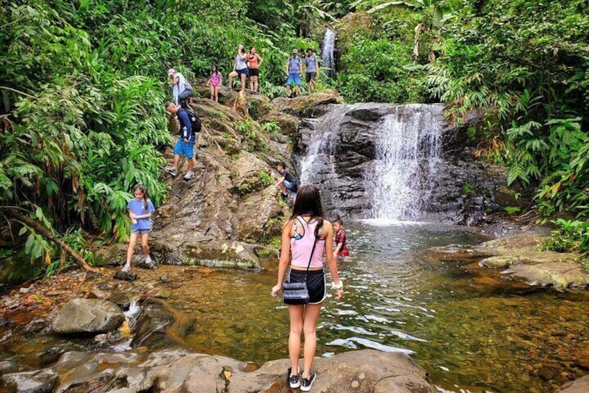 Private Rainforest Waterfalls and Beach hiking experience from San Juan