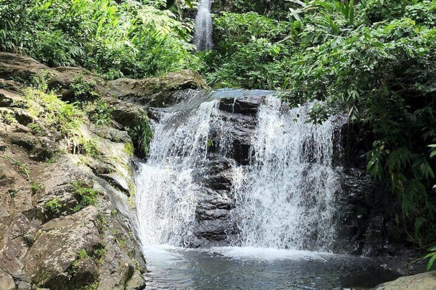Private Rainforest Waterfalls and Beach Hiking Experience from San Juan
