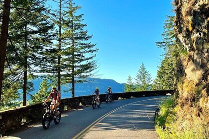 Ebike Tour to Multnomah Falls and 6 other falls on a scenic biway