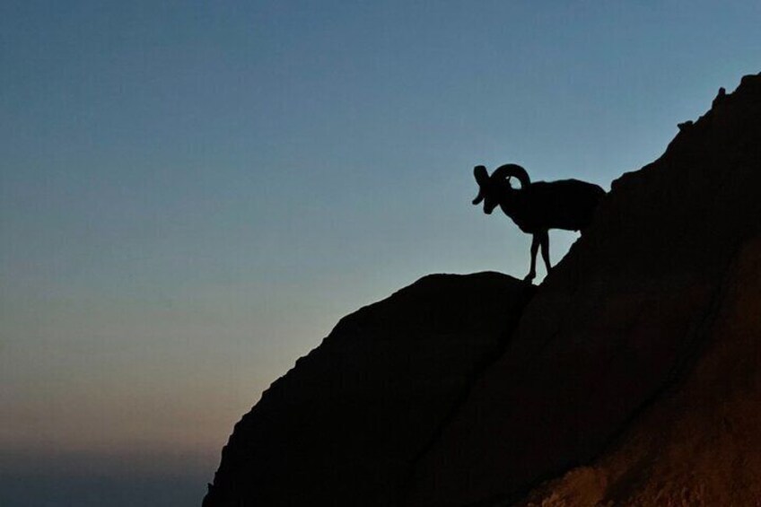 Badlands Sunset and Night Sky Adventure