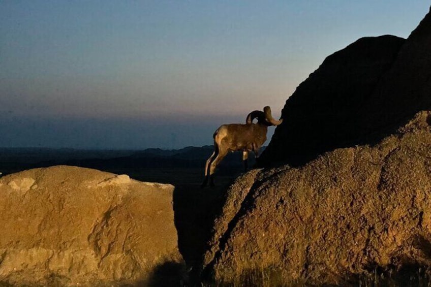 Badlands Sunset and Night Sky Adventure
