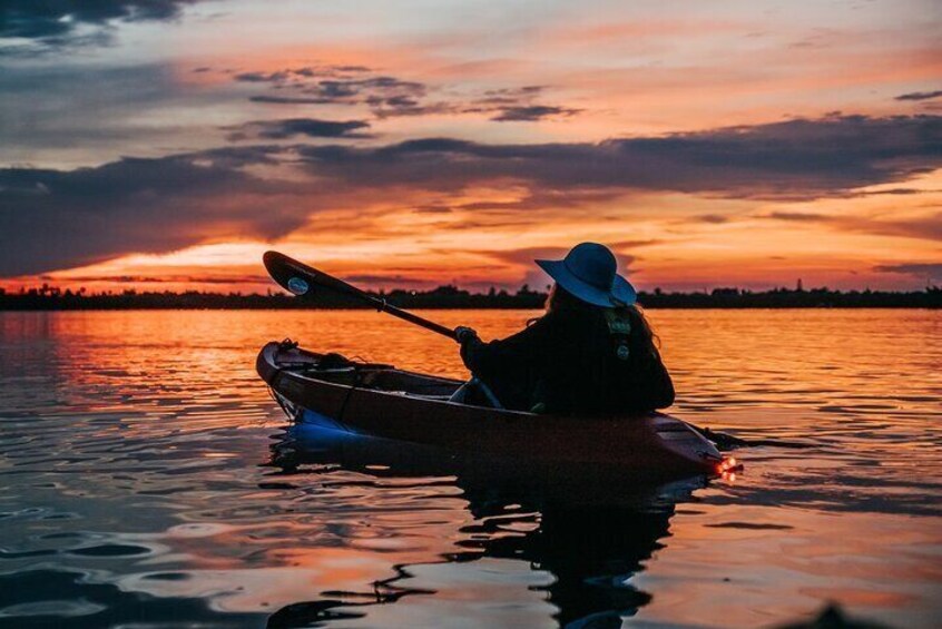 Indian River Clear Bottom Kayak or Paddleboarding Manatee and Dolphin Tour