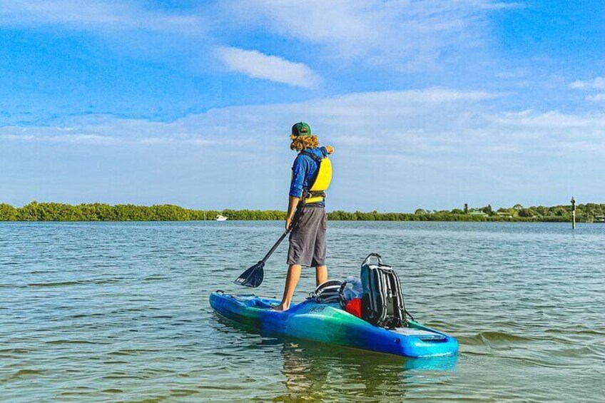 Indian River Clear Bottom Kayak or Paddleboarding Manatee and Dolphin Tour