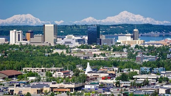 Anchorage All Around City Tour w/ taste of smoked salmon