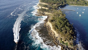 Tasman Island Cruise & Tasmanian Devil Park Tour from Hobart