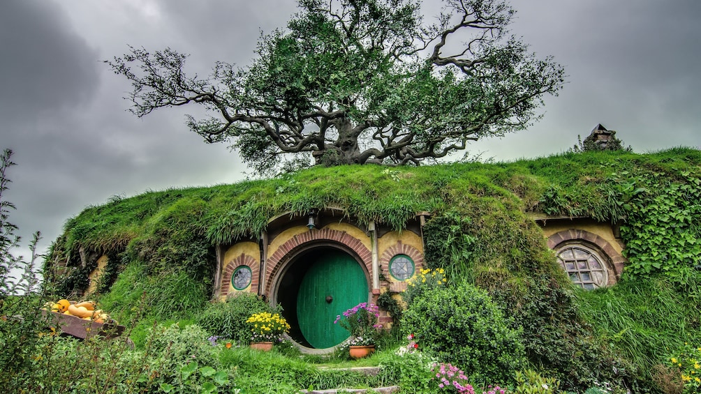 Hobbit house and gardens in Hobbiton