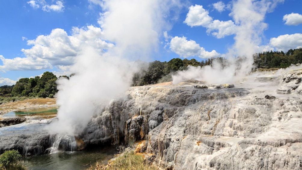 Te Puia in New Zealand