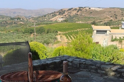 Privates Weinprobe-Erlebnis @ Domaine Paterianakis (kostenloser Transfer)