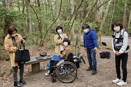 Wheelchair Private Exploration with Drone in Aokigahara 
