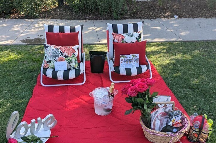 Private Picnic Experience in the Queen City