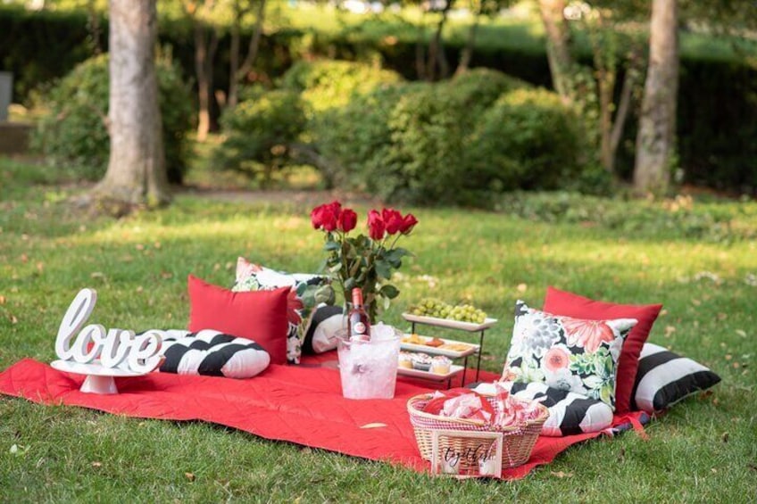 Deluxe Picnic Setup just waiting for you!