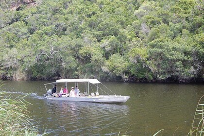 Touw River Boat Cruise - Wilderness National Park