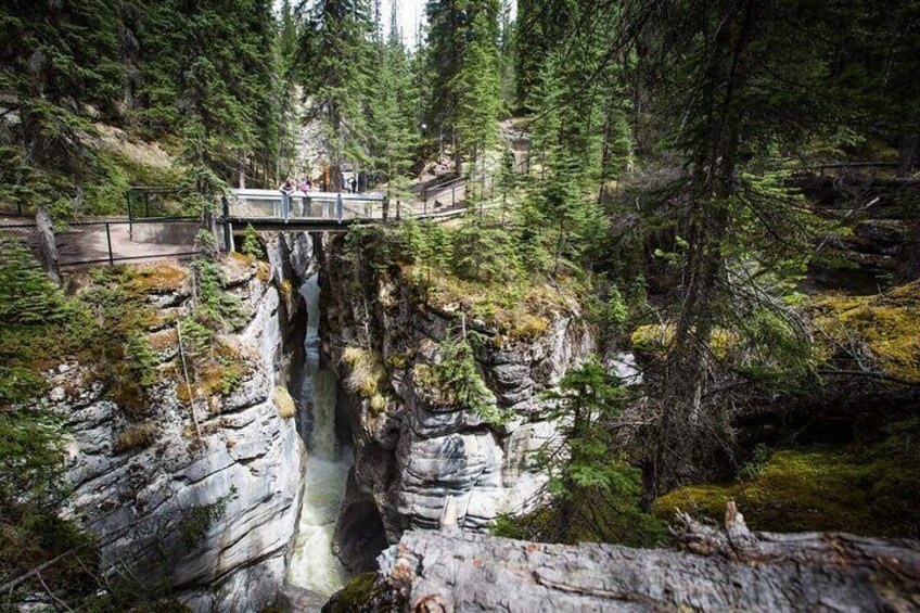 Maligne Canyon