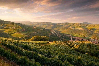 Full-Day Valpolicella Private Tour from Milan with Wine Taste